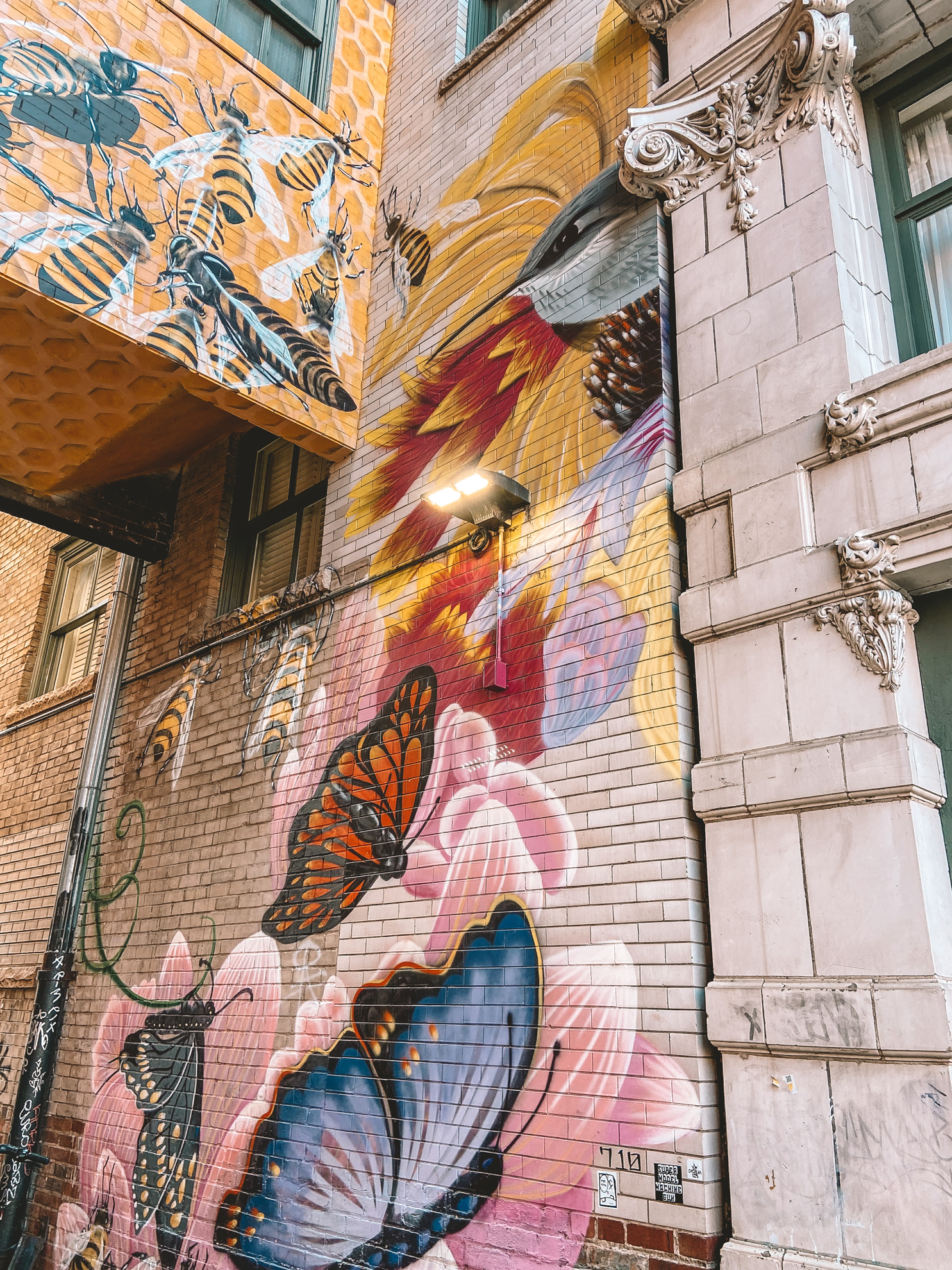 Butterfly art mural near Union Station in Denver Colorado